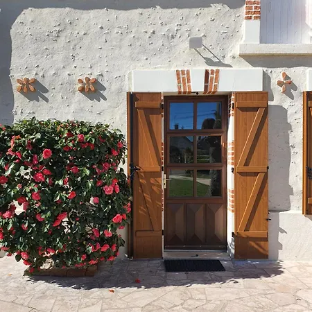 Villa Les Camelias Selles-sur-Cher Exterior foto